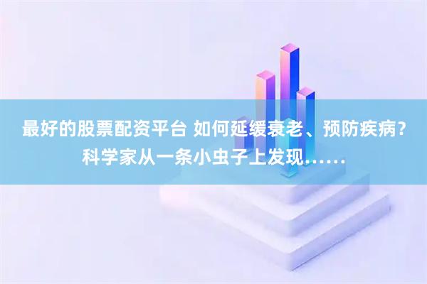 最好的股票配资平台 如何延缓衰老、预防疾病？科学家从一条小虫子上发现……