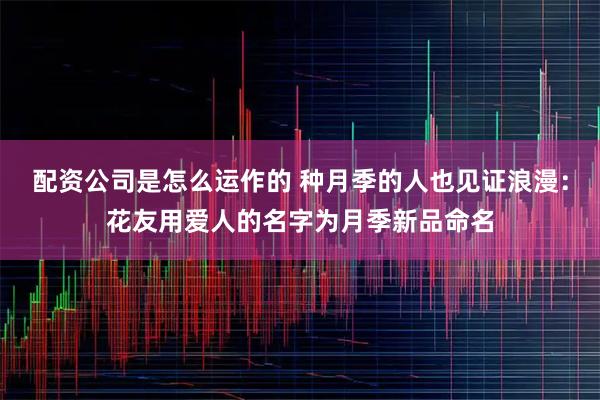 配资公司是怎么运作的 种月季的人也见证浪漫:花友用爱人的名字为月季新品命名