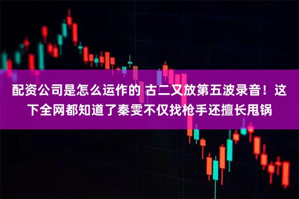 配资公司是怎么运作的 古二又放第五波录音!这下全网都知道了秦雯不仅找枪手还擅长甩锅